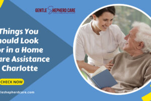 5 Things You Should Look for in a Home Care Assistance in Charlotte Home Uncategorized5 Things You Sho